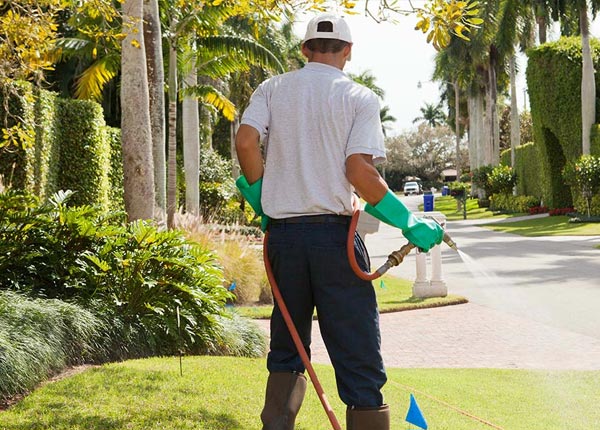 About Corinne WV Pest Control Pros